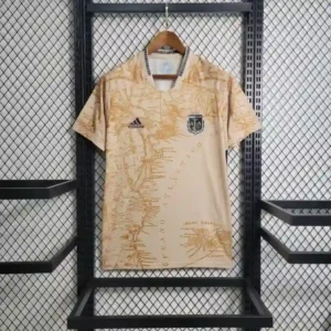 2021 Argentina Commemorative Edition Soccer retro kit