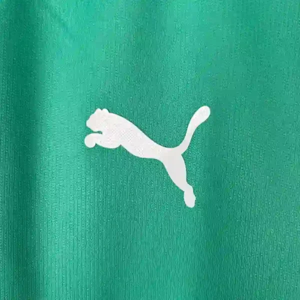 2019-2020 Palmeiras Third retro kit - Image 2