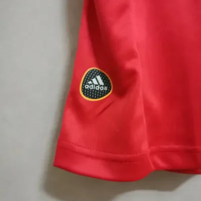 2010 Spain Nation Retro Jersey Home World Cup - Image 12
