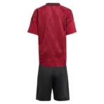 Kids Belgium Nation Home Jersey Kit Euro 2024 - Image 2