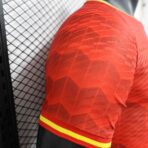 24-25 Player Spain Special Edition Soccer Jersey - Image 6