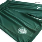 SE Palmeiras 2023/24 Away Shorts Replica - Image 4