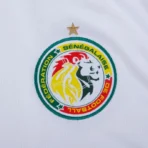 Senegal Home Shirt 2025-2026 fans version - Image 3