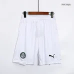 SE Palmeiras 2023/24 Home Shorts Replica - Image 6