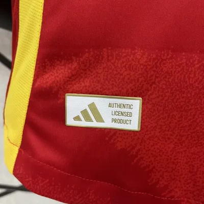 WILLIAMS JR. 17# 2024  Spain Nation Home Jersey Player Version EURO - Image 6