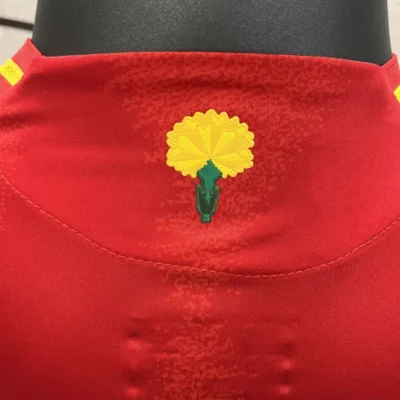 WILLIAMS JR. 17# 2024  Spain Nation Home Jersey Player Version EURO - Image 9