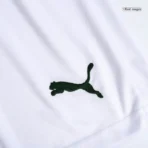 SE Palmeiras 2023/24 Home Shorts Replica - Image 4