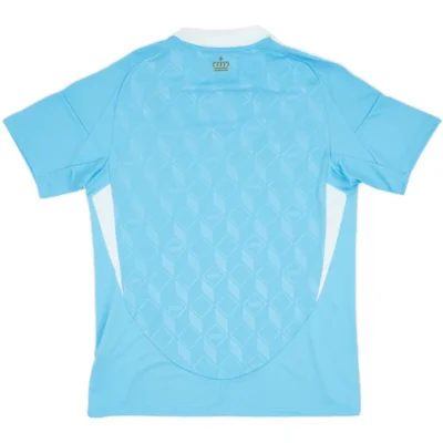 EURO Belgium Nation 2024 Away Jersey - Image 12