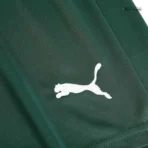 SE Palmeiras 2023/24 Away Shorts Replica - Image 3