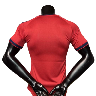 2026/2027 Spain Special Edition Jersey Player Version - Image 4