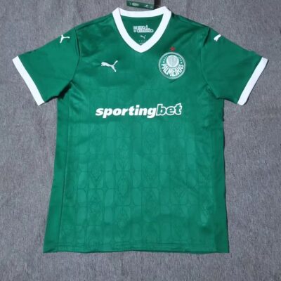 2025/2026 SE Palmeiras away fans Jersey