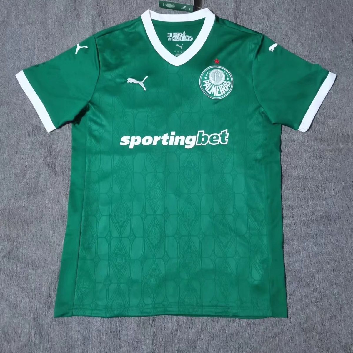 06bd9fd7-7214-44a6-a339-7e1676dd183f 25-26 Palme new SE Palmeiras away fans - Image 1