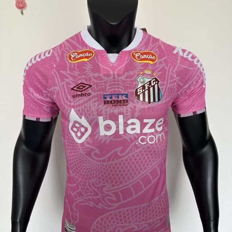 2025/2026 Player Santos FC training jersey - Image 1