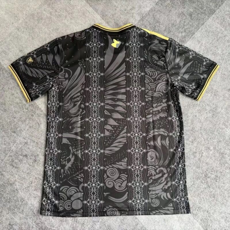 2026 Argentina Special Edition Black jersey - Image 2