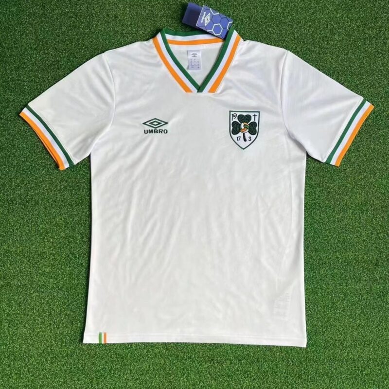 17b4ec98-0d0f-4427-b14a-5e62056003d9 2026 Ireland fan commemorative edition jersey - Image 1