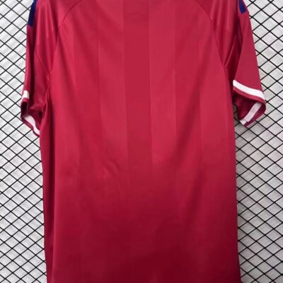 2026/2027 olympique Lyonnais away jersey - Image 2