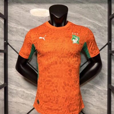 2026 Player Ivory Coast home autumn jersey