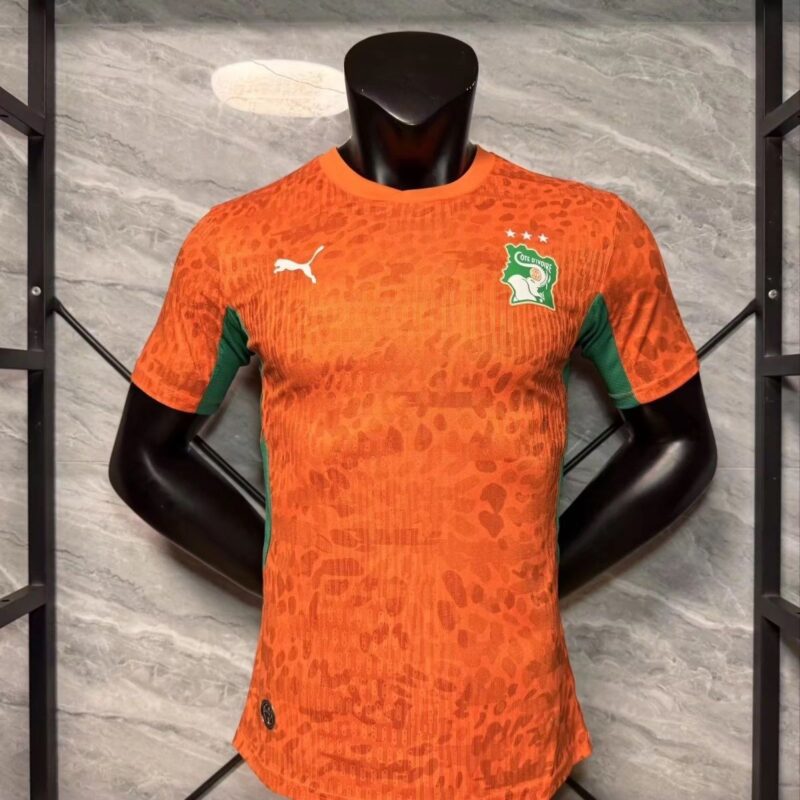28246844-ec2d-4081-80b6-dbd102bab9af 2026 Player Ivory Coast home autumn jersey - Image 1