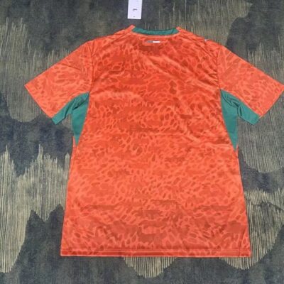 2026 Fans Ivory Coast home autumn jersey - Image 2