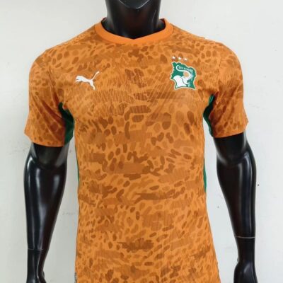 2025 Player Ivory Coast home jersey