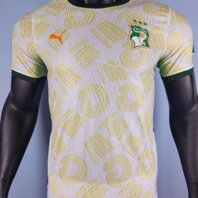 2026 Player  Ivory Coast training uniform jersey