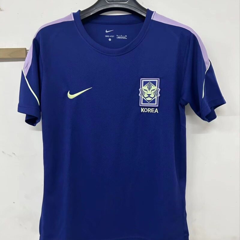 4f450856-f805-4ad4-8149-7fe4daf2501a 2026 New South Kored National Team Sun Xing Same Style jersey - Image 1