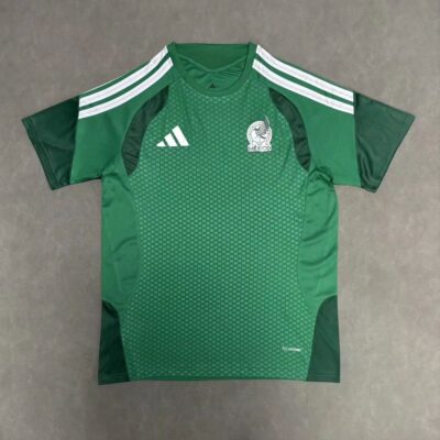 2026 Fans Mexico Training Green  jersey