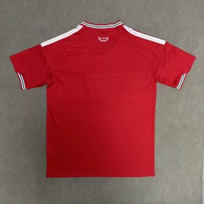 2026 Wales home jersey - Image 2