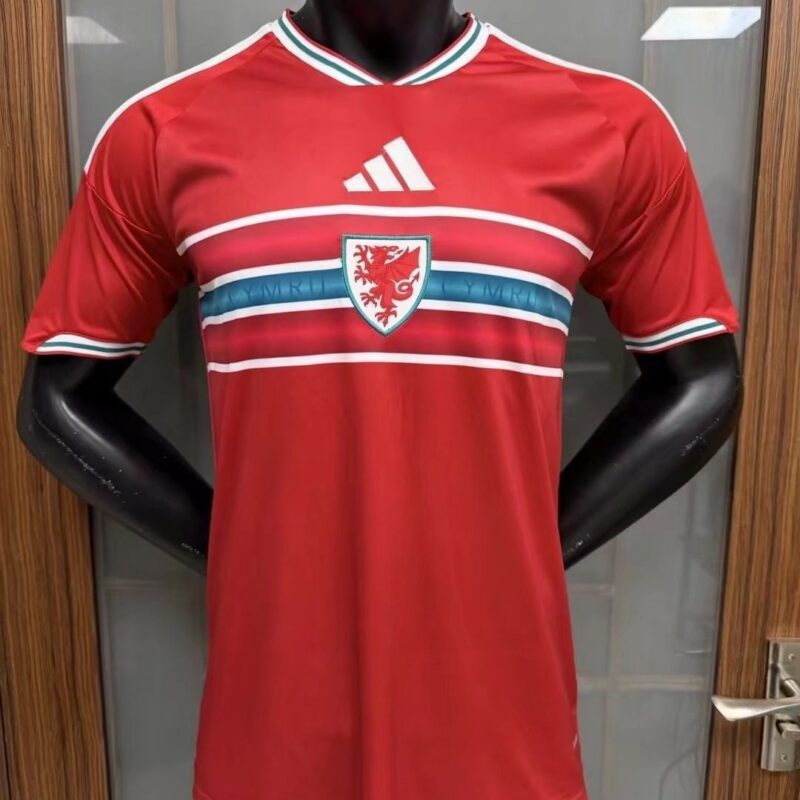 2026 Player Version Wales home jersey - Image 1