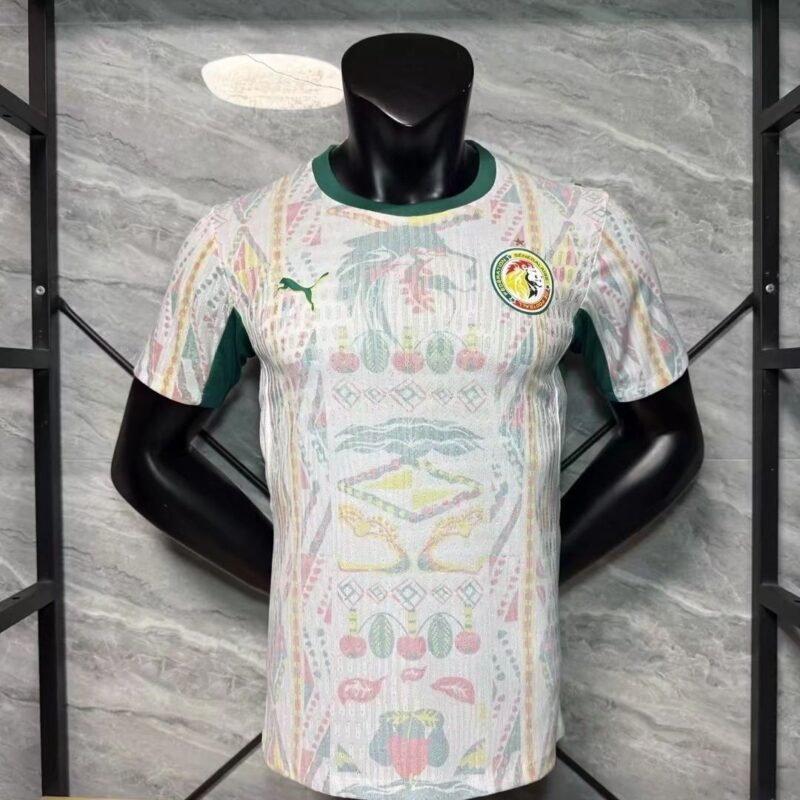 7a3864bb-5164-4cd9-b893-5ced49dcc386 2025 Player Senegal home jersey - Image 1