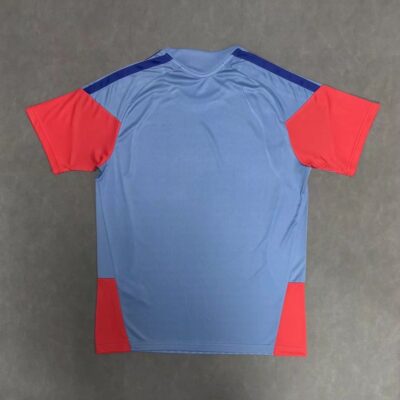 2026 Japan World Cup training jersey - Image 2