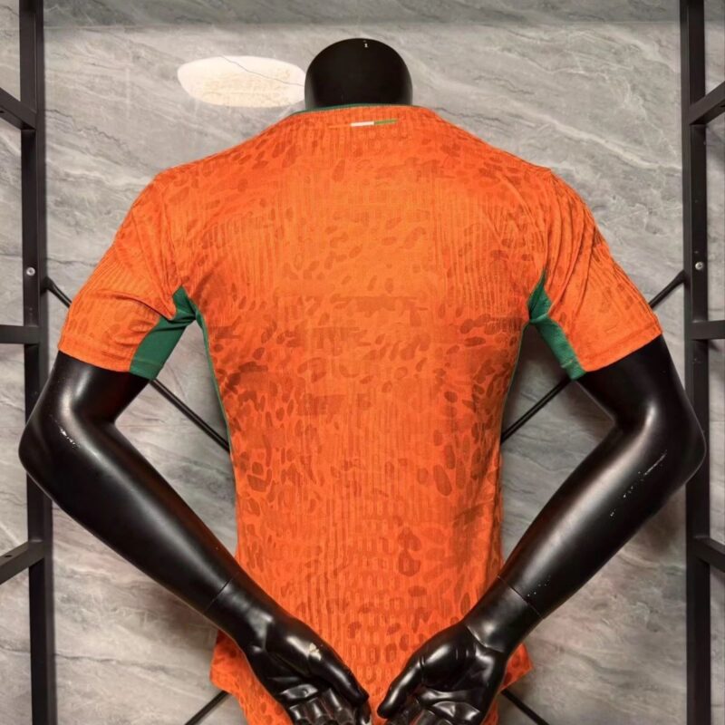 2026 Player Ivory Coast home autumn jersey - Image 2