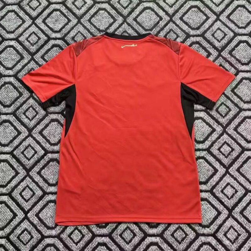 2026 Egypt home jersey - Image 2