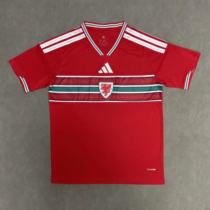 8cbee3b1-0e74-4291-86f7-a4e7be7ccc57 2026 Wales home jersey - Image 1