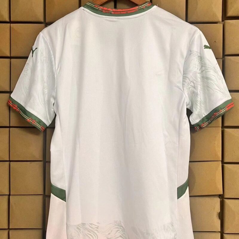 2026 Portugal Special Edition Fan  jersey - Image 2