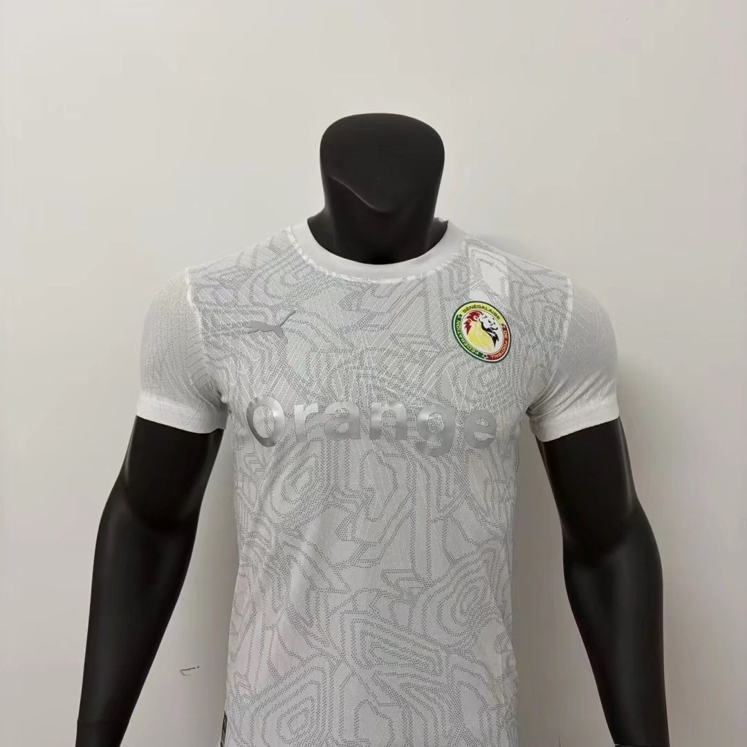 b06a07ec-5651-43e0-a6c1-6bb1c11780fe 2026 Senegal training player jersey - Image 1