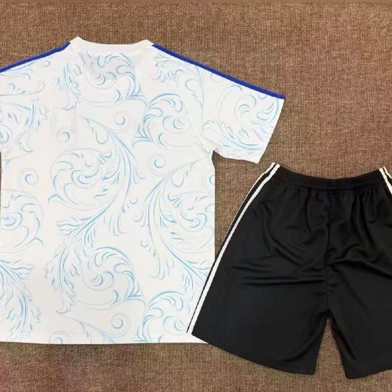2026 Argentina World Cup special edition adult kit jersey - Image 2