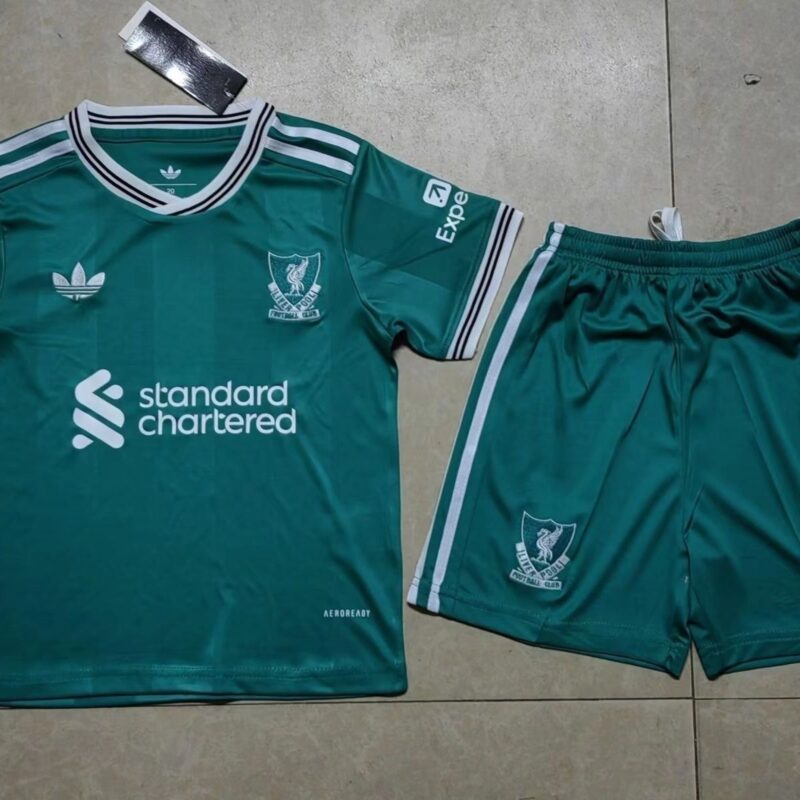 ba041168-fc7d-475d-a5fd-81de62a48501 2025/2026 Liverpool away adult kit jersey - Image 1