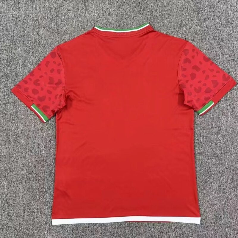 2026/2027 Iran away jersey - Image 2