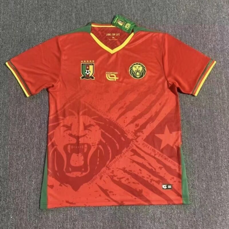 2025 Fan Cameroon home and away jerseys - Image 1