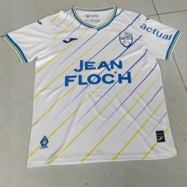 Fans 25-26 olympique Lyonnais away jersey