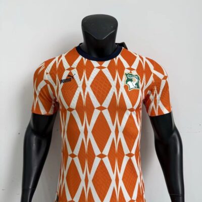 2026 Player Ivory Coast Orange and White  jersey