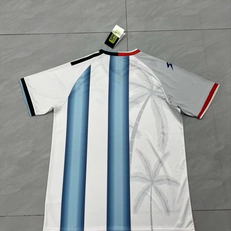 2026 Argentina Special Edition jerseys - Image 2