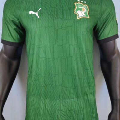 2026 Player Ivory Coast training uniform jersey