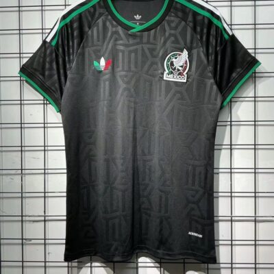 2025 Fans World Cup Mexico home jersey