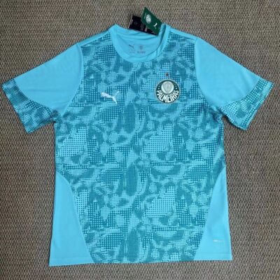 2026/2027 SE Palmeiras training jersey