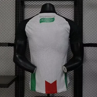2025/2026 Player Version Club Deportivo Palestino Home jersey - Image 2