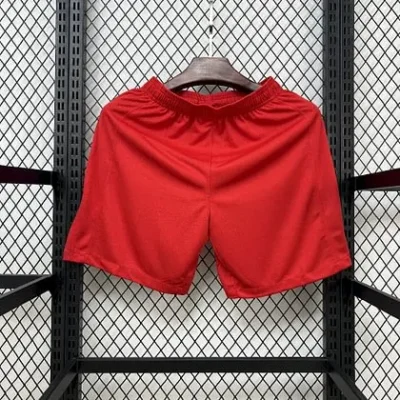 2025/2026 Paris Saint-Germain Third Away Shorts - Image 2