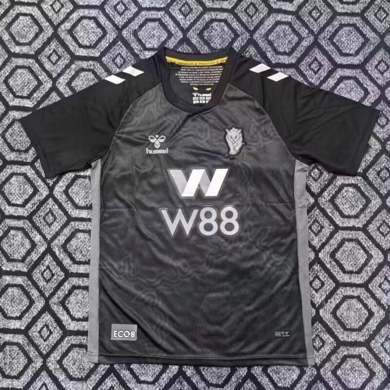 a645b94c-60ff-4bee-8791-ed330fc67752 2025/2026 Sunderland A.F.C. Third away jersey - Image 1