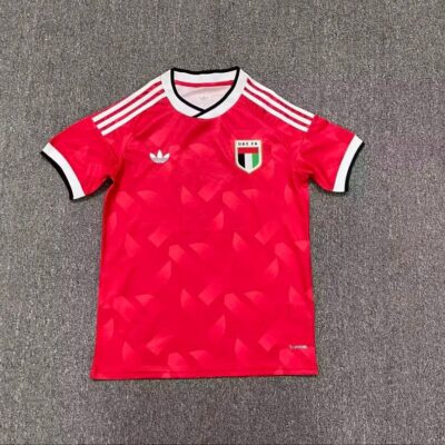 2026 United Arab Emirates Away Football jersey